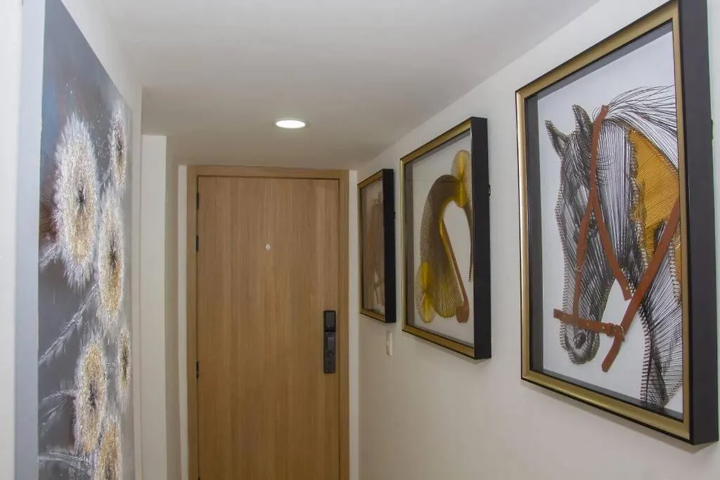 Brand New, With Private Jacuzzi Apartment Carlos Guerra