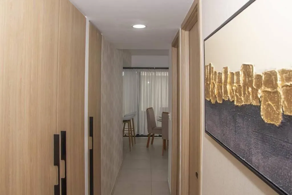 Brand New, With Private Jacuzzi Apartment Carlos Guerra